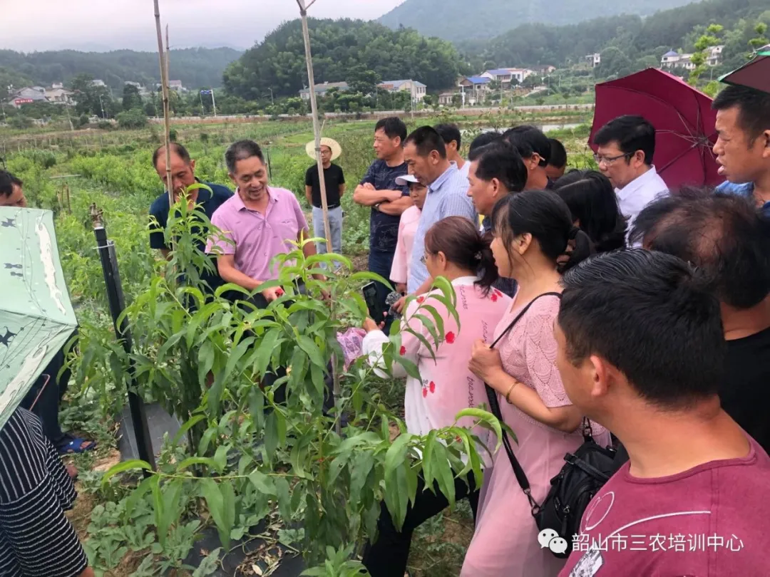 培育新型職業(yè)農(nóng)民 助推鄉(xiāng)村振興——寧鄉(xiāng)市農(nóng)廣校在我中心開展新型職業(yè)農(nóng)民培育水果專題班(圖16) 培育新型職業(yè)農(nóng)民 助推鄉(xiāng)村振興——寧鄉(xiāng)市農(nóng)廣校在我中心開展新型職業(yè)農(nóng)民培育水果專題班(圖16)