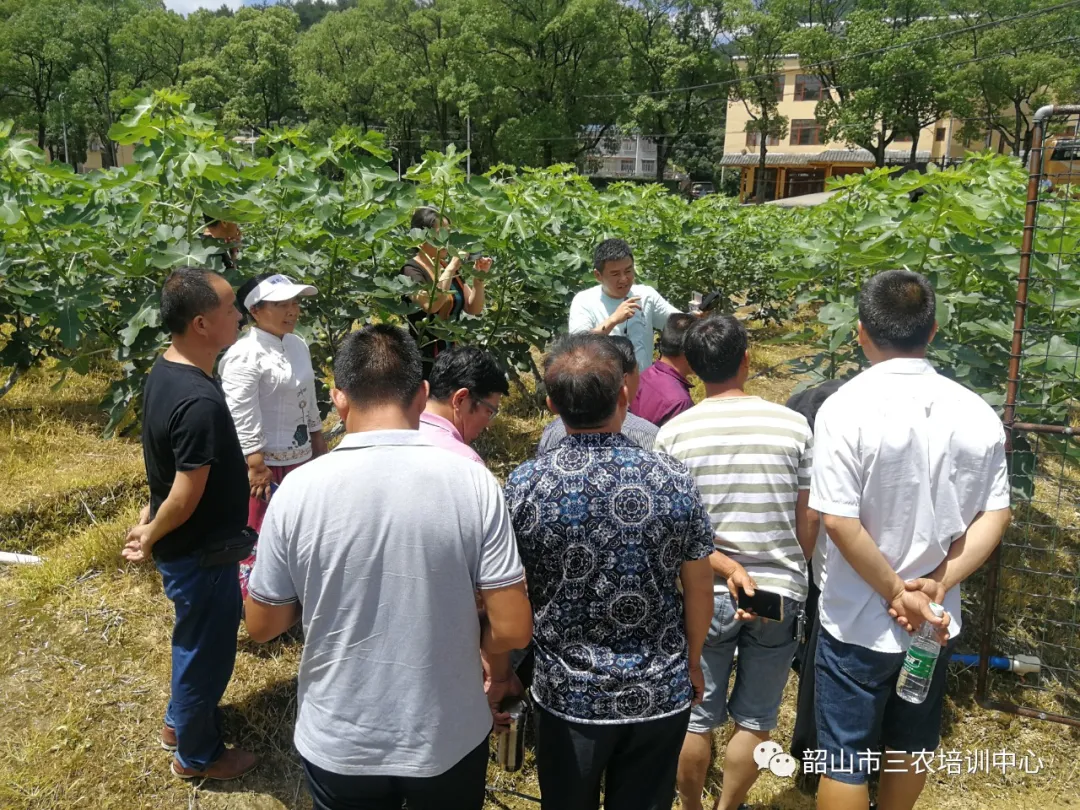 培育新型職業(yè)農(nóng)民 助推鄉(xiāng)村振興——寧鄉(xiāng)市農(nóng)廣校在我中心開展新型職業(yè)農(nóng)民培育水果專題班(圖19) 培育新型職業(yè)農(nóng)民 助推鄉(xiāng)村振興——寧鄉(xiāng)市農(nóng)廣校在我中心開展新型職業(yè)農(nóng)民培育水果專題班(圖19)
