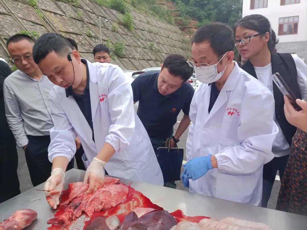 湖南“農(nóng)廣助農(nóng)”工程優(yōu)質(zhì)湘豬產(chǎn)業(yè)領(lǐng)軍人才培訓(xùn)班在湘潭韶山舉辦(圖10) 湖南“農(nóng)廣助農(nóng)”工程優(yōu)質(zhì)湘豬產(chǎn)業(yè)領(lǐng)軍人才培訓(xùn)班在湘潭韶山舉辦(圖10)