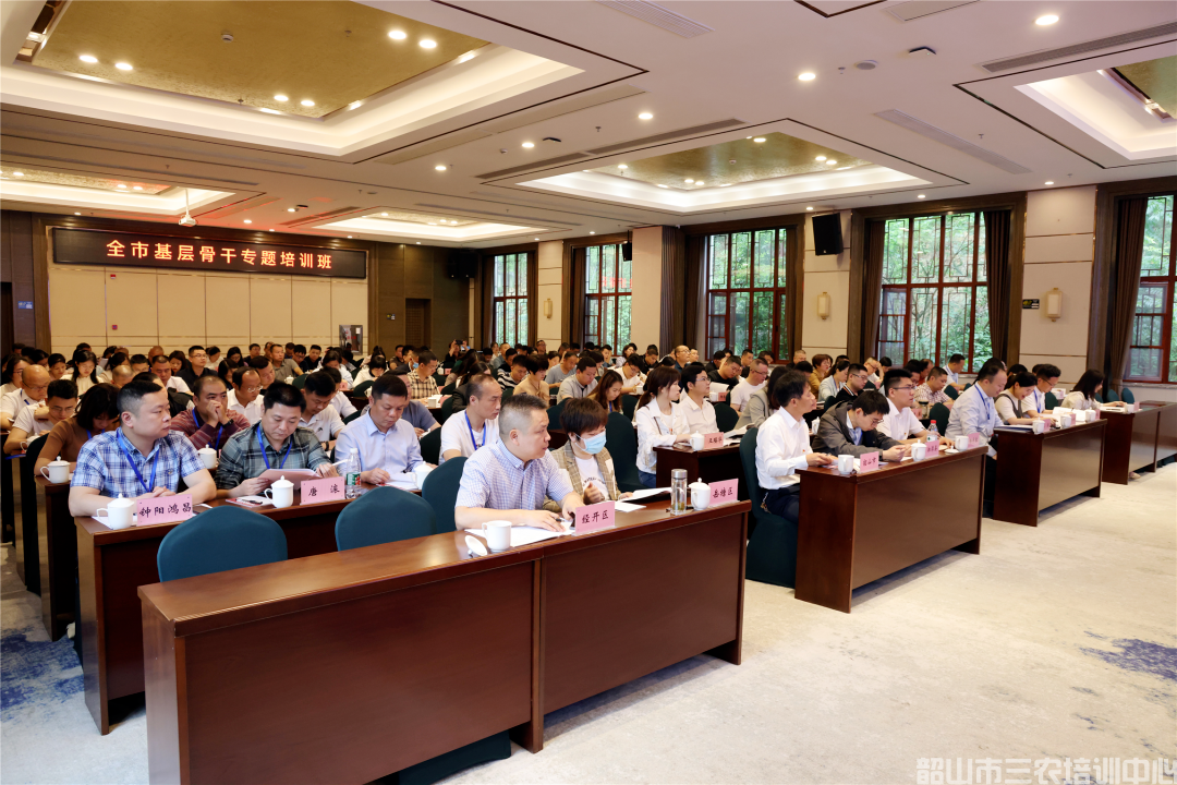 為基層干部賦能充電！全市基層骨干專題培訓(xùn)班開班(圖3)