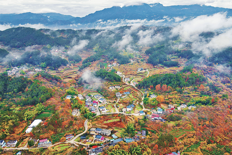 錨定建設(shè)農(nóng)業(yè)強國目標(biāo) 切實抓好新時代新征程“三農(nóng)”工作--唐仁健(圖3) 錨定建設(shè)農(nóng)業(yè)強國目標(biāo) 切實抓好新時代新征程“三農(nóng)”工作--唐仁健(圖3)