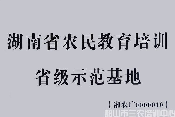 中心榮譽(圖2) 中心榮譽(圖2)
