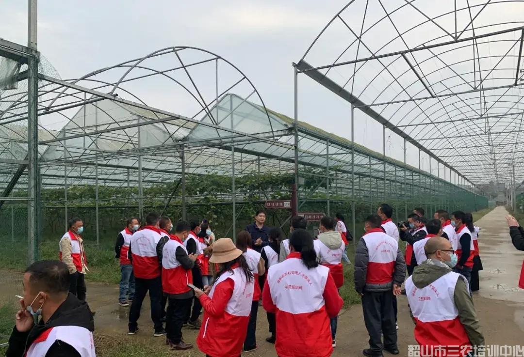 湖南省農村實用人才帶頭人示范培訓班(第二期)圓滿結束(圖12) 湖南省農村實用人才帶頭人示范培訓班(第二期)圓滿結束(圖12)